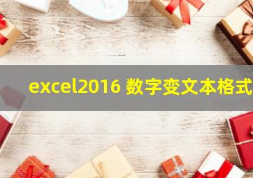 excel2016 数字变文本格式